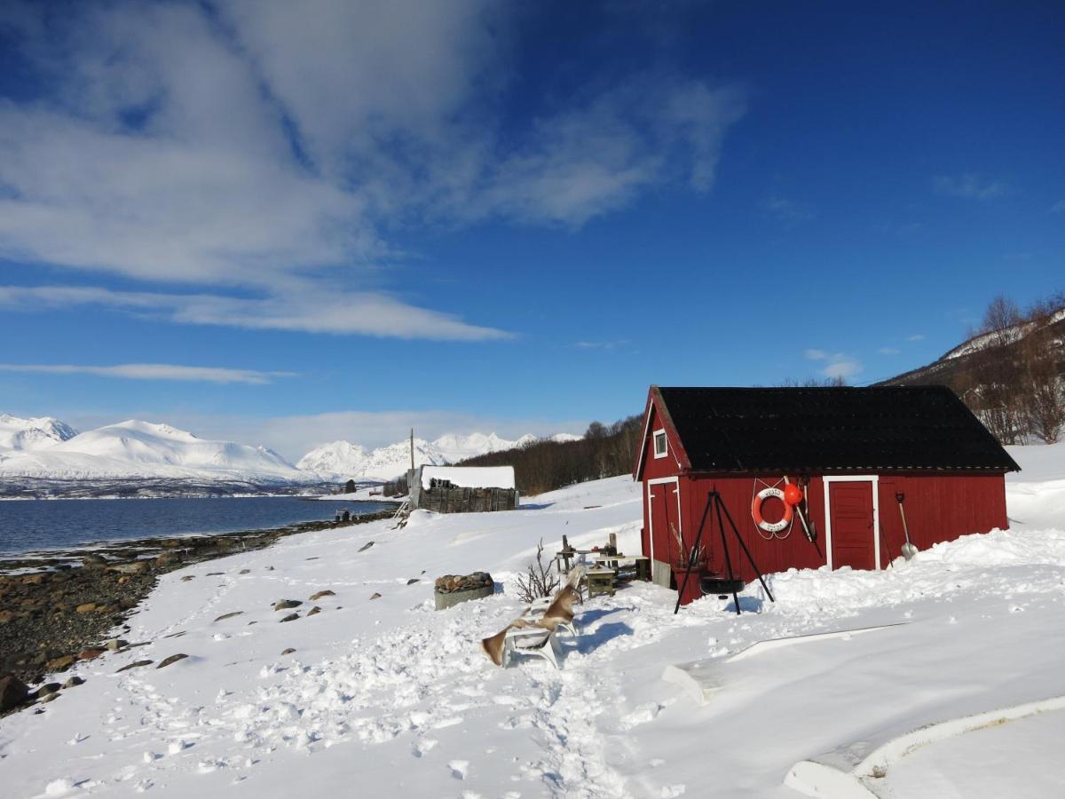 Olderdalen Ski Camp المظهر الخارجي الصورة
