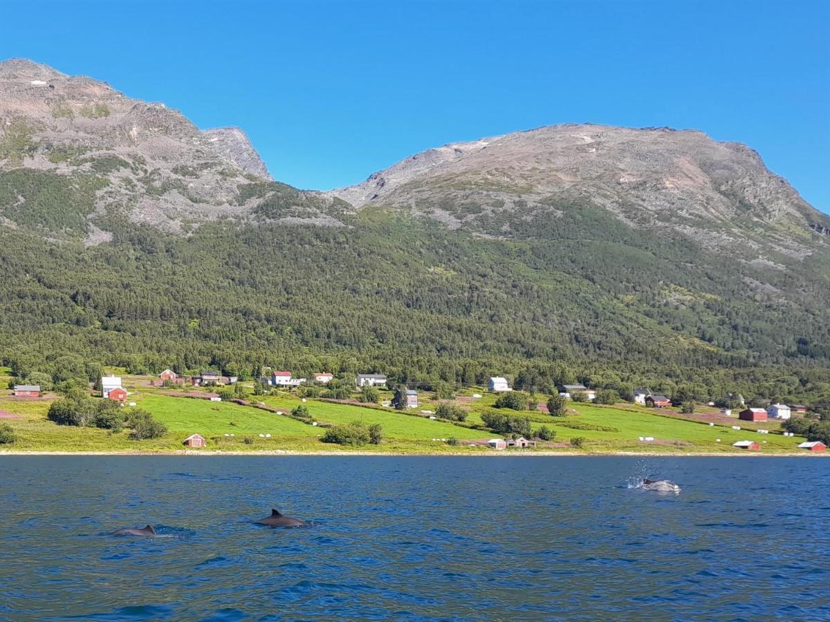 Olderdalen Ski Camp المظهر الخارجي الصورة