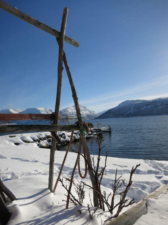 Olderdalen Ski Camp المظهر الخارجي الصورة