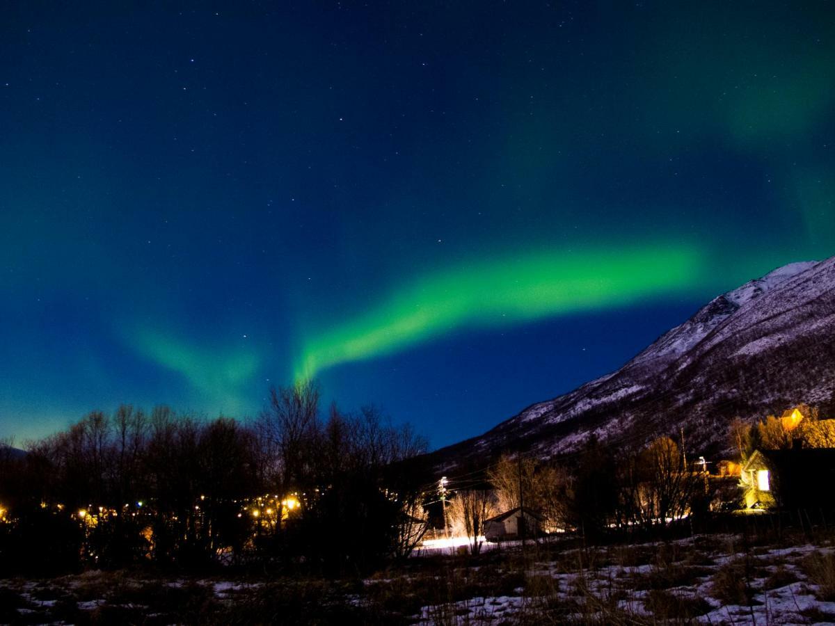 Olderdalen Ski Camp المظهر الخارجي الصورة