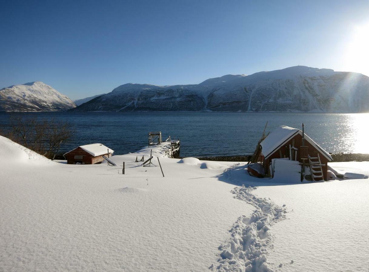 Olderdalen Ski Camp المظهر الخارجي الصورة